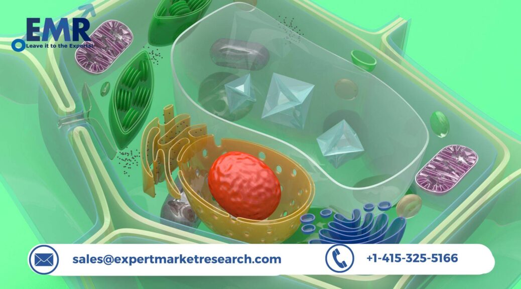 Primary Cells Market Growth