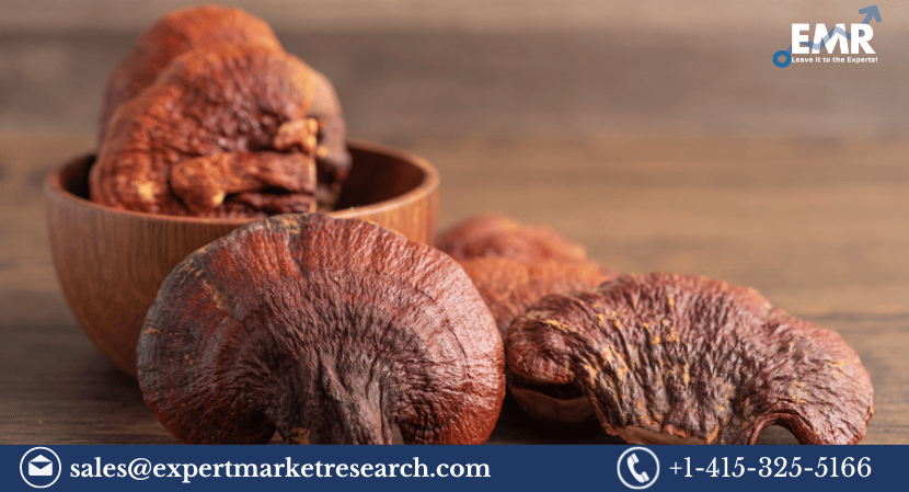Reishi Mushroom Extract Market