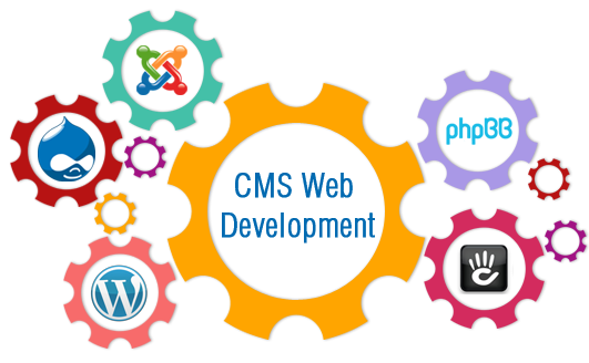 Website CMS Development