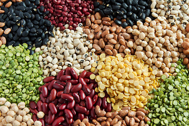 Dry Beans Market