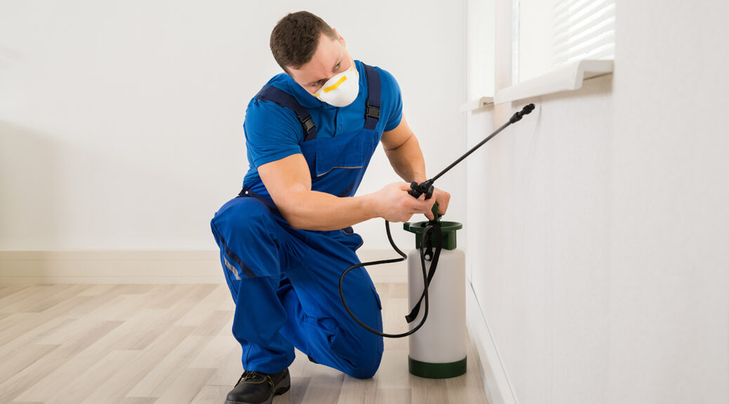 Pest Control Services In Islamabad